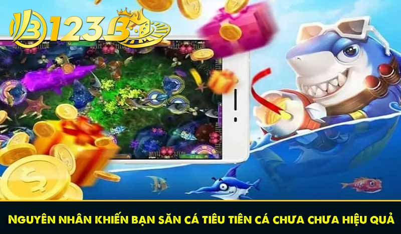 Nguyên nhân khiến bạn săn cá tiêu tiên cá chưa chưa hiệu quả